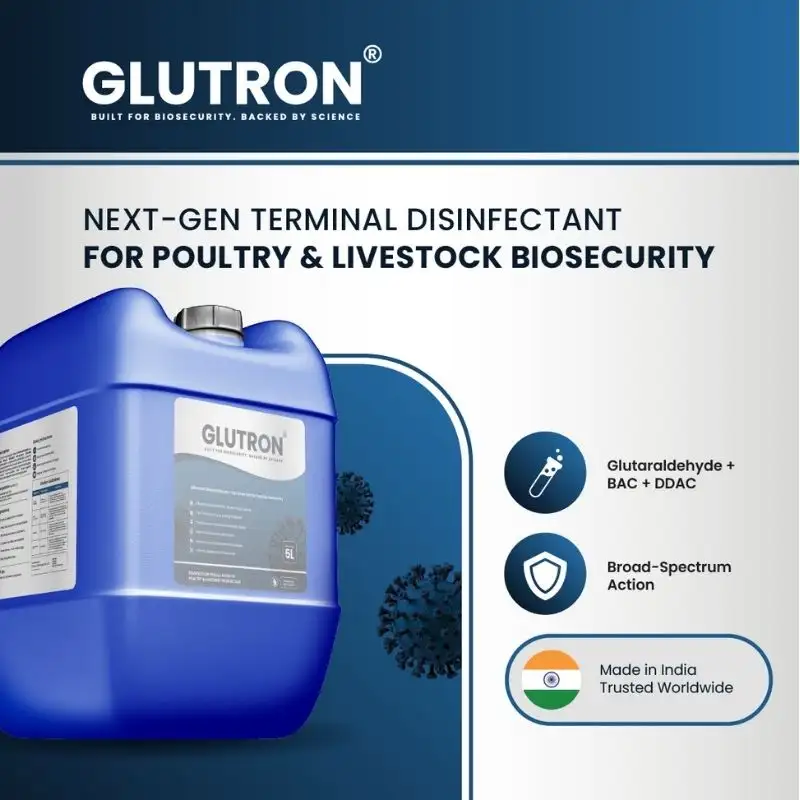 Glutron Design 1 — TeddyPix design work