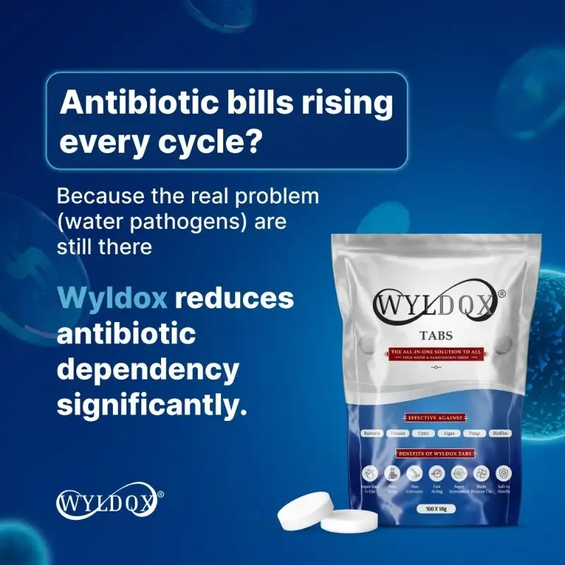 Wyldox Social Media Post 1 — TeddyPix design work