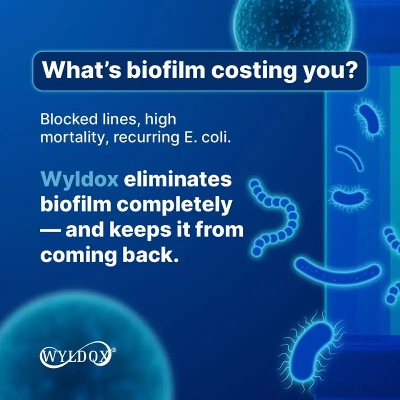 Wyldox Social Media Post 2 — TeddyPix design work