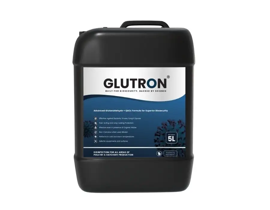 Glutron Packaging — TeddyPix design work