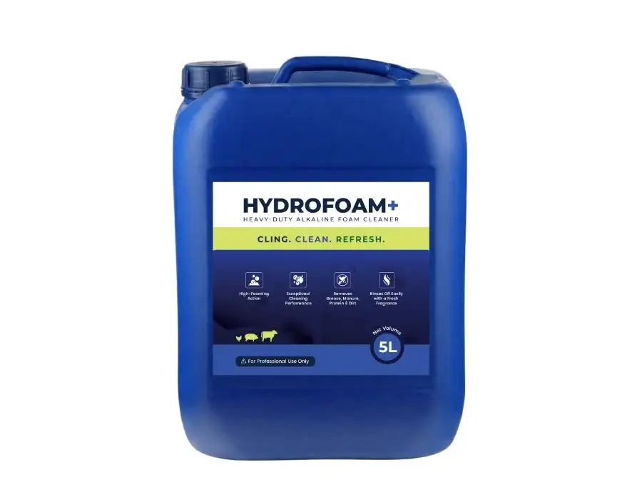 Hydrofoam Packaging — TeddyPix design work