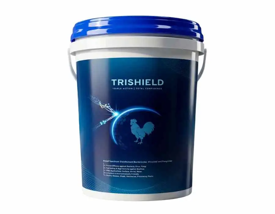 Trishield Packaging — TeddyPix design work